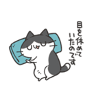 よくわかってないにゃんこスタンプ2（個別スタンプ：39）