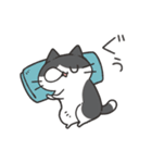 よくわかってないにゃんこスタンプ2（個別スタンプ：40）