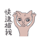 Single Cat Guli（個別スタンプ：13）