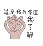 Single Cat Guli（個別スタンプ：19）