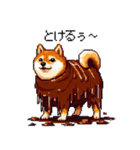 スイーツ太っちょ柴犬（個別スタンプ：5）