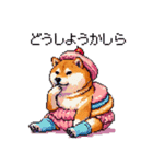 スイーツ太っちょ柴犬（個別スタンプ：6）