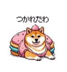 スイーツ太っちょ柴犬（個別スタンプ：9）