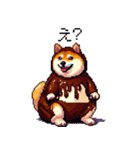 スイーツ太っちょ柴犬（個別スタンプ：10）