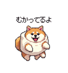 スイーツ太っちょ柴犬（個別スタンプ：13）