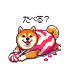 スイーツ太っちょ柴犬（個別スタンプ：15）