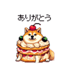 スイーツ太っちょ柴犬（個別スタンプ：19）