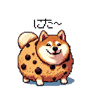 スイーツ太っちょ柴犬（個別スタンプ：20）