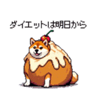 スイーツ太っちょ柴犬（個別スタンプ：21）