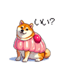 スイーツ太っちょ柴犬（個別スタンプ：26）