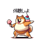 スイーツ太っちょ柴犬（個別スタンプ：30）