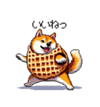 スイーツ太っちょ柴犬（個別スタンプ：31）