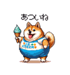 スイーツ太っちょ柴犬（個別スタンプ：32）