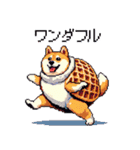 スイーツ太っちょ柴犬（個別スタンプ：33）