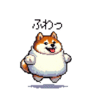 スイーツ太っちょ柴犬（個別スタンプ：34）
