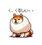 スイーツ太っちょ柴犬（個別スタンプ：37）