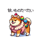 スイーツ太っちょ柴犬（個別スタンプ：38）