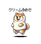 スイーツ太っちょ柴犬（個別スタンプ：40）