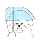 ジンション（個別スタンプ：22）