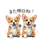 【夏】日常でも使える！コーギースタンプ（個別スタンプ：4）