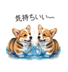 【夏】日常でも使える！コーギースタンプ（個別スタンプ：13）