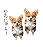 【夏】日常でも使える！コーギースタンプ（個別スタンプ：14）