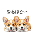 【夏】日常でも使える！コーギースタンプ（個別スタンプ：18）