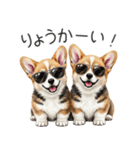 【夏】日常でも使える！コーギースタンプ（個別スタンプ：21）