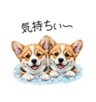 【夏】日常でも使える！コーギースタンプ（個別スタンプ：24）