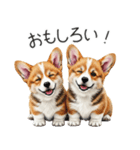 【夏】日常でも使える！コーギースタンプ（個別スタンプ：31）