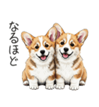 【夏】日常でも使える！コーギースタンプ（個別スタンプ：36）