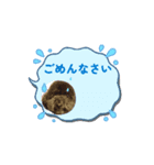 もこの日常会話スタンプ2（個別スタンプ：5）