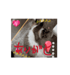 Rico sticker 2（個別スタンプ：1）
