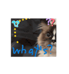 Rico sticker 2（個別スタンプ：2）