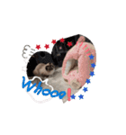 Rico sticker 2（個別スタンプ：3）