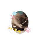 Rico sticker 2（個別スタンプ：4）