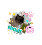 Rico sticker 2（個別スタンプ：6）