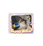 Rico sticker 2（個別スタンプ：7）