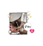 Rico sticker 2（個別スタンプ：8）