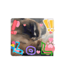 Rico sticker 2（個別スタンプ：10）