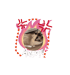 Rico sticker 2（個別スタンプ：12）