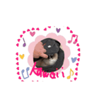 Rico sticker 2（個別スタンプ：13）