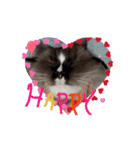 Rico sticker 2（個別スタンプ：14）