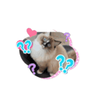 Rico sticker 2（個別スタンプ：15）