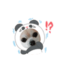 動く！？428（個別スタンプ：10）