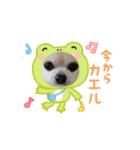 動く！？428（個別スタンプ：11）
