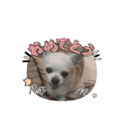 動く！？428（個別スタンプ：13）