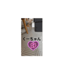 くーちゃんレオくんゆったん（個別スタンプ：1）