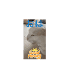 くーちゃんレオくんゆったん（個別スタンプ：3）