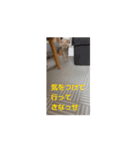 くーちゃんレオくんゆったん（個別スタンプ：5）